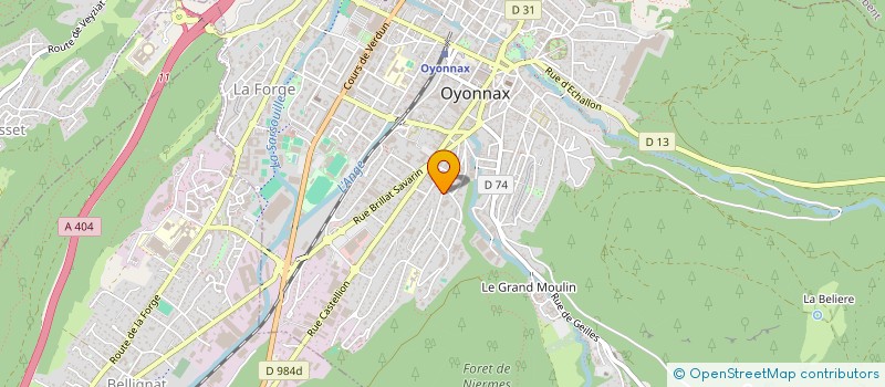 localisation de l'entreprise MONSIEUR ZESGIN GOKKUYU à OYONNAX