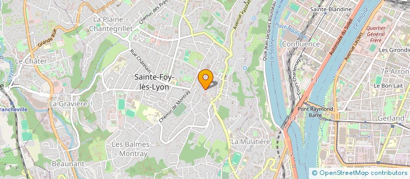 localisation de l'entreprise MONSIEUR ZIAURAHMAN AKHONZADA  SAINTE-FOY-LES-LYON