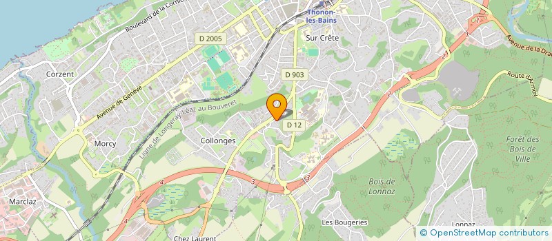 localisation de l'entreprise MONSIEUR ZIDANE YOUNES à THONON-LES-BAINS