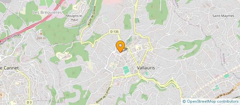 localisation de l'entreprise MONSIEUR ZINEDDINE BOULKERTOUS  VALLAURIS