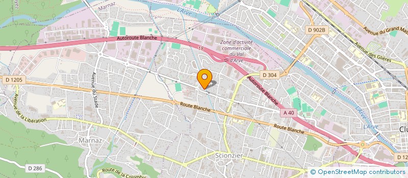 localisation de l'entreprise MONSIEUR ZIYA ARSLAN  SCIONZIER