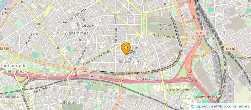localisation de l'entreprise MONSIEUR ZIYANE SEKRANE à LILLE