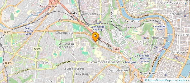 localisation de l'entreprise MONSIEUR ZORAN ROBELIN à LYON