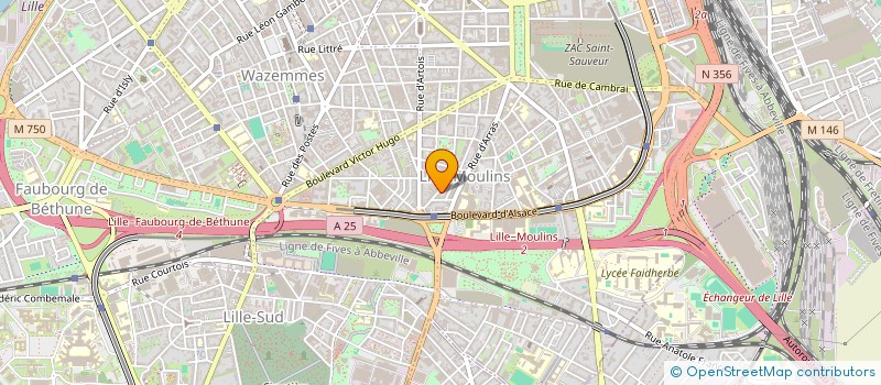 localisation de l'entreprise MONSIEUR ZOSER BIZIKI à LILLE
