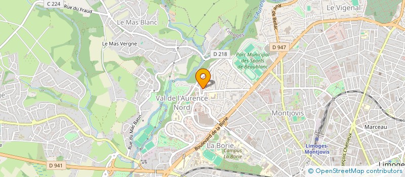 localisation de l'entreprise MONSIEUR ZVIAD ROSHNIASHVILI à LIMOGES