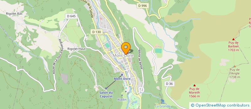 localisation de l'entreprise MONT DORE EN ACTION  MONT-DORE