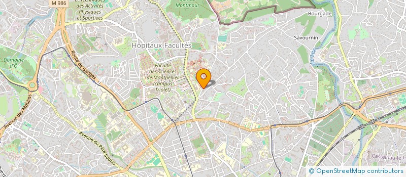localisation de l'entreprise MONT LIBAN 2 à MONTPELLIER