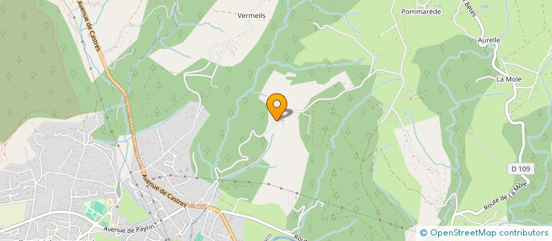 localisation de l'entreprise MONTAGNE NOIRE ANIMATION  PONT-DE-LARN