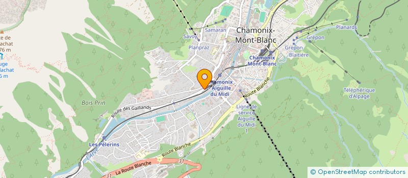 localisation de l'entreprise MONTAGNESHOP à CHAMONIX-MONT-BLANC