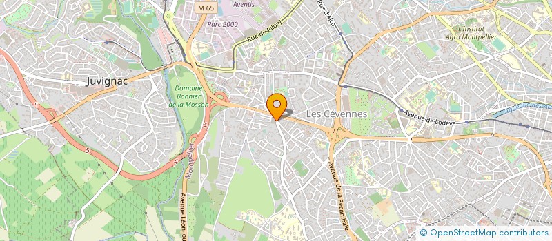 localisation de l'entreprise MONTAVICOLE à MONTPELLIER