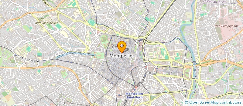 localisation de l'entreprise MONTEPESTELARIO à MONTPELLIER