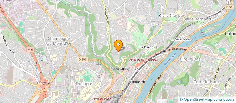 localisation de l'entreprise MONTFOCH  SAINT-DIDIER-AU-MONT-D'OR