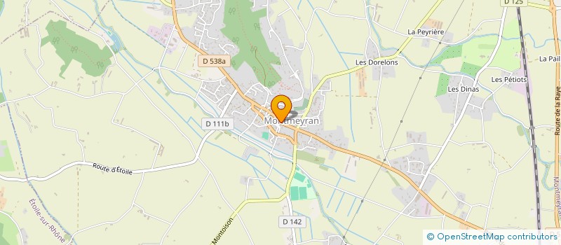 localisation de l'entreprise MONTMEYRAN FLEURS à MONTMEYRAN