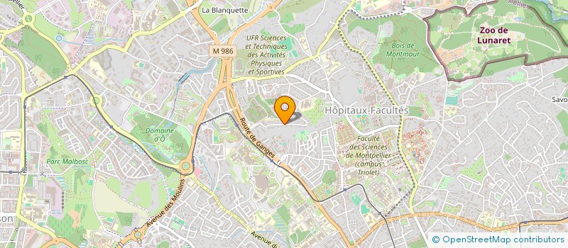 localisation de l'entreprise MONTOISON-CATHEDRALE à MONTPELLIER