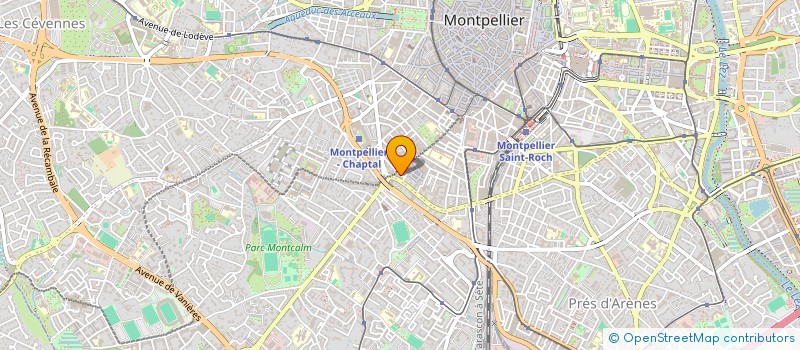 localisation de l'entreprise MONTPELLIER AM JUDO à MONTPELLIER
