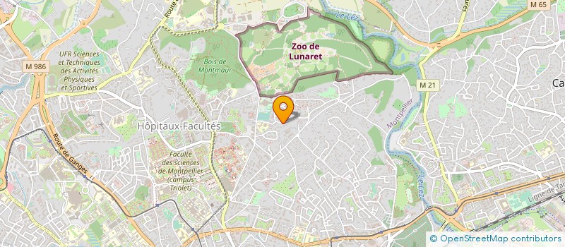 localisation de l'entreprise MONTPELLIER EN FAMILLE à MONTPELLIER