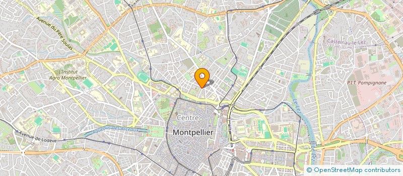 localisation de l'entreprise MONTPELLIER ENGLISH-LANGUAGE LIBRARY à MONTPELLIER