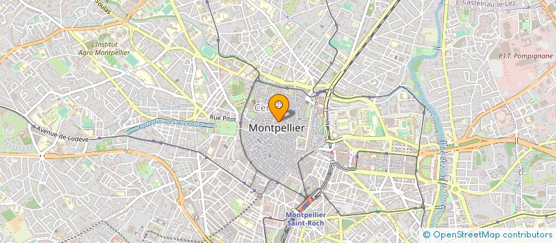 localisation de l'entreprise MONTPELLIER NET SERVICES à MONTPELLIER