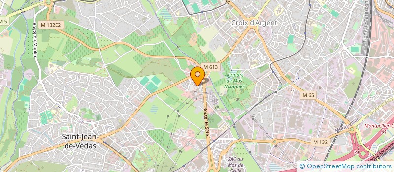 localisation de l'entreprise MONTPELLIER NIMES ARTE SUAVE  SAINT-JEAN-DE-VEDAS