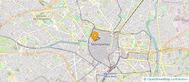 localisation de l'entreprise MONTPELLIER STUDENT SPORT à MONTPELLIER