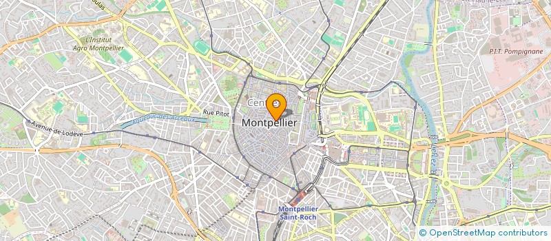 localisation de l'entreprise MONTPELLIERAINE DE FRUITS ET LEGUMES à MONTPELLIER