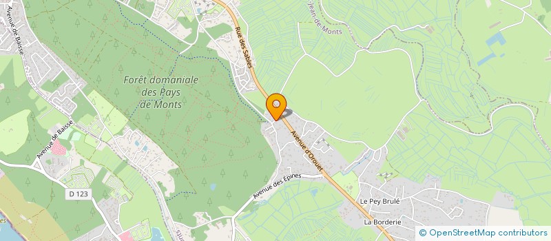 localisation de l'entreprise MONTS-SERVICES  SAINT-JEAN-DE-MONTS