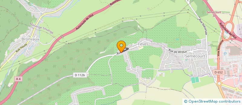 localisation de l'entreprise MORAINTERN  FEVES