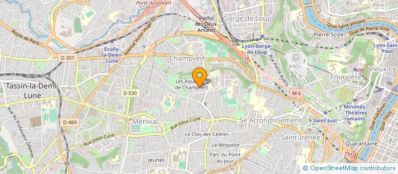 localisation de l'entreprise MORE LIFE FRANCE (MLF) à LYON