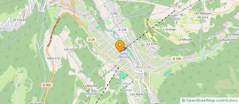 localisation de l'entreprise MORZINE SERVICES  MORZINE