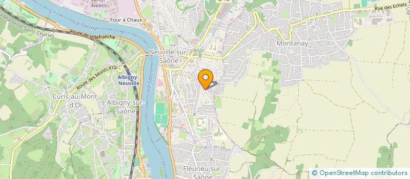 localisation de l'entreprise MOSAIC INVESTISSEMENTS  NEUVILLE-SUR-SAONE