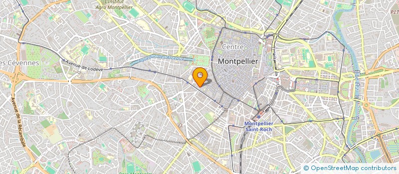 localisation de l'entreprise MOSAIQUE PASSION à MONTPELLIER