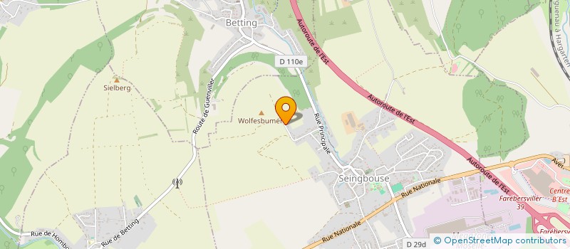 localisation de l'entreprise MOSELLE MULTISERVICES  SEINGBOUSE