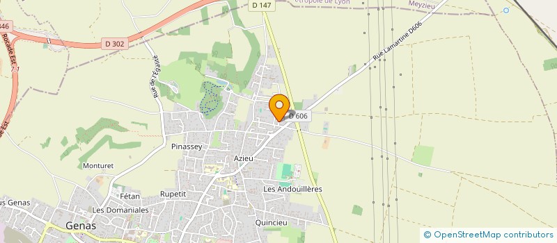 localisation de l'entreprise MOTCHE SERVICES à GENAS