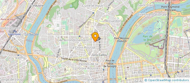 localisation de l'entreprise MOTHER BRAIN à LYON