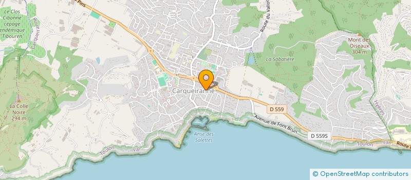 localisation de l'entreprise MOUSTIC VAR SERVICE  CARQUEIRANNE