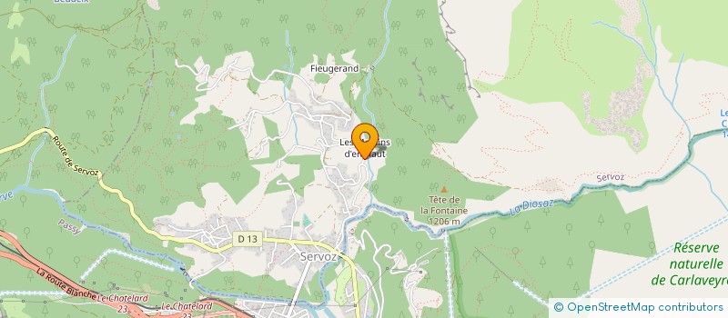 localisation de l'entreprise MOUTAIN ACCESS  SERVOZ