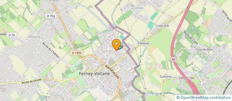 localisation de l'entreprise MOV'FIT à FERNEY-VOLTAIRE