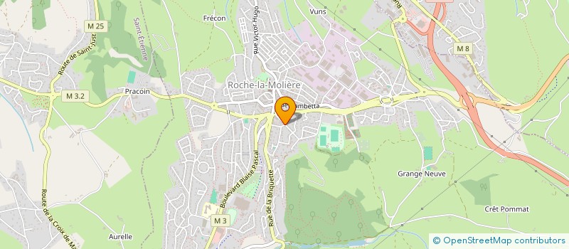 localisation de l'entreprise MOV'RELAX  ROCHE-LA-MOLIERE