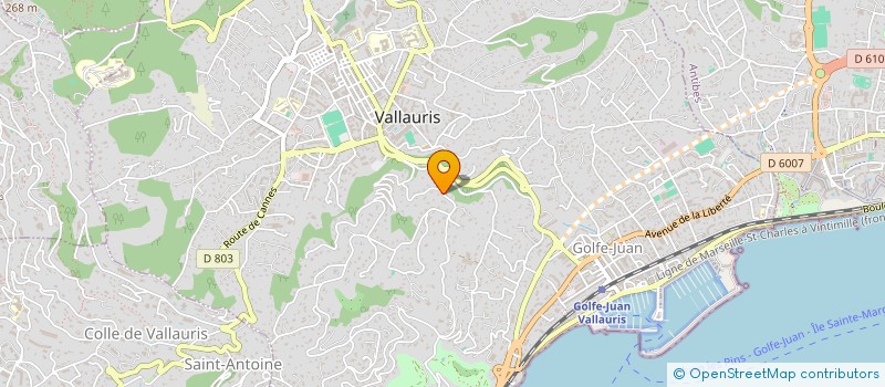 localisation de l'entreprise MOVIDO FRANCE à VALLAURIS
