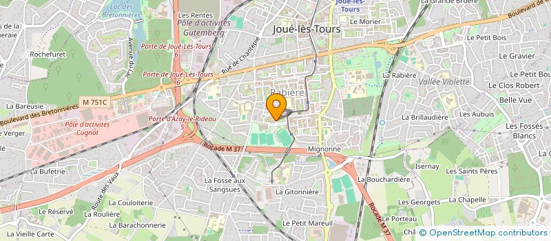 localisation de l'entreprise MOZAIKE  JOUE-LES-TOURS