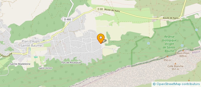 localisation de l'entreprise MPB MULTISERVICES à PLAN-D'AUPS-SAINTE-BAUME