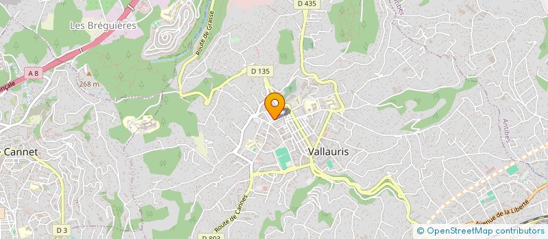 localisation de l'entreprise MPJ CONSTRUCTION à VALLAURIS