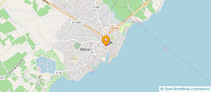 localisation de l'entreprise MPMS à MEZE