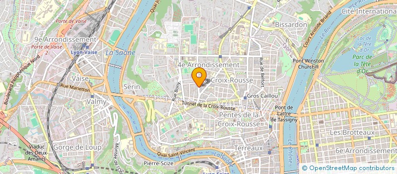 localisation de l'entreprise MPS PRO à LYON
