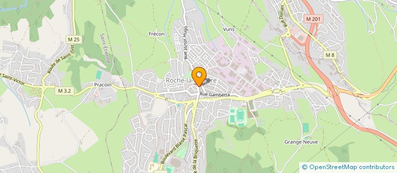 localisation de l'entreprise MR RULLIERE MMES DEFOUR PERRIN  ROCHE-LA-MOLIERE