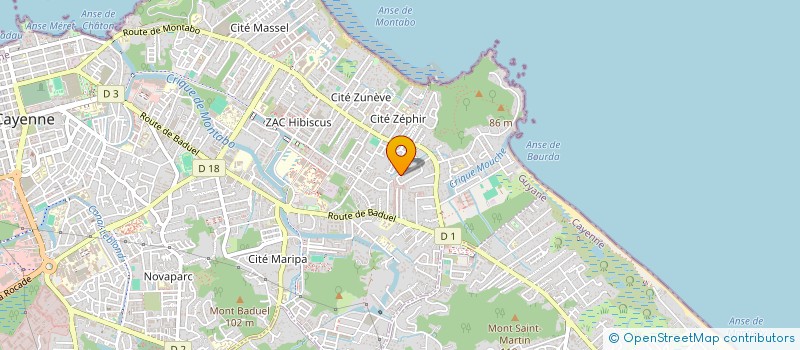 localisation de l'entreprise MRS NETWORKS SOLUTIONS  CAYENNE