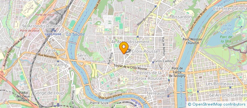 localisation de l'entreprise MRVJ IMMO  LYON