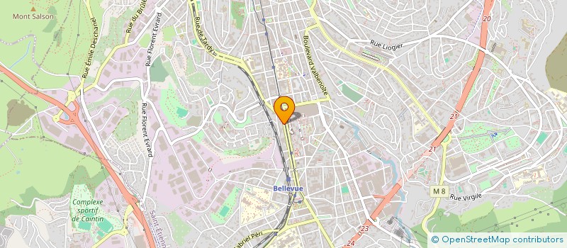 localisation de l'entreprise MS CONSEILS  SAINT-ETIENNE