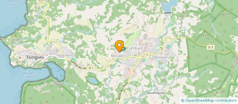 localisation de l'entreprise MS CONSULTING à TSINGONI