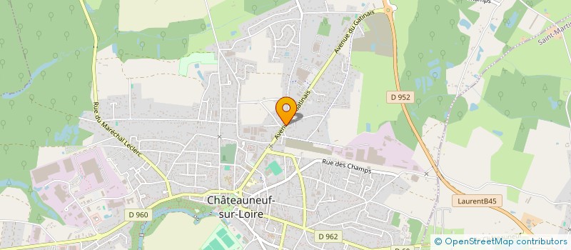 localisation de l'entreprise MS COURTAGE  CHATEAUNEUF-SUR-LOIRE